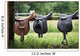 Saddles Wall Mural