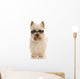 west highland white terrier wearing cool sunglasses Wall Decal