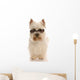 west highland white terrier wearing cool sunglasses Wall Decal