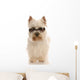 west highland white terrier wearing cool sunglasses Wall Decal