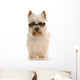 west highland white terrier wearing cool sunglasses Wall Decal