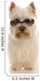 west highland white terrier wearing cool sunglasses Wall Decal
