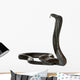Egyptian cobra - Naja haje Wall Decal