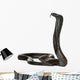 Egyptian cobra - Naja haje Wall Decal