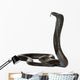 Egyptian cobra - Naja haje Wall Decal