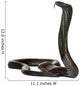 Egyptian cobra - Naja haje Wall Decal