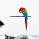 Vector Parrot Parakeet Graffiti Wall Decal