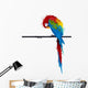Vector Parrot Parakeet Graffiti Wall Decal