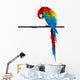 Vector Parrot Parakeet Graffiti Wall Decal