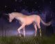Unicorn in a Misty Forest Glade Wall Mural