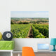 Vineyards Wall Decal