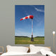 Wind Sock Wall Mural