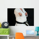 Taekwon-Do Black Belt Wall Mural