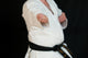 Taekwon-Do Black Belt Wall Mural