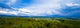Black Forrest Germany Nearly Wall Decal