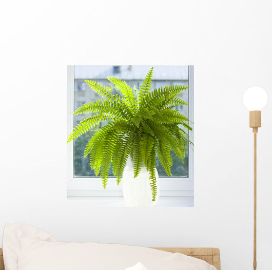 nephrolepis Wall Mural