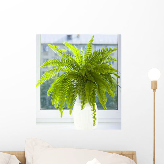 nephrolepis Wall Mural