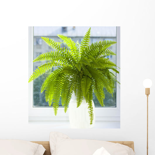 nephrolepis Wall Mural
