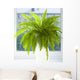 nephrolepis Wall Mural