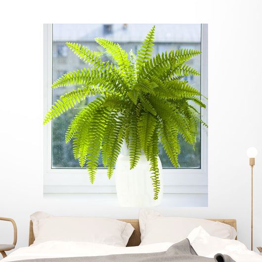 nephrolepis Wall Mural