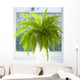 nephrolepis Wall Mural