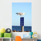 Seagull Landing Wall Mural