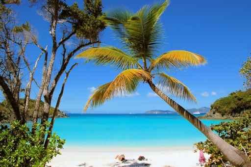 Trunk Bay Wall Decal Design 2