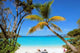 Trunk Bay Wall Decal Design 2