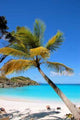 Trunk Bay Beach Wall Decal