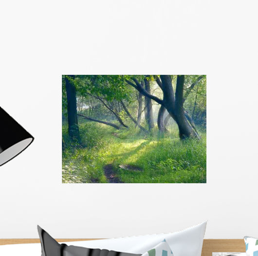 Evening Forest Wall Decal