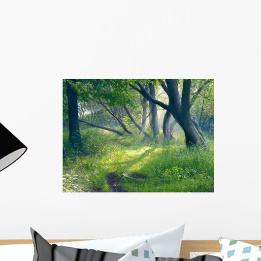 Evening Forest Wall Decal