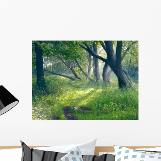 Evening Forest Wall Decal