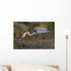 Goliath Heron Wall Mural