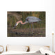 Goliath Heron Wall Mural