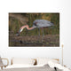 Goliath Heron Wall Mural