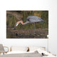 Goliath Heron Wall Mural