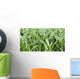 Fields Corn Wall Mural