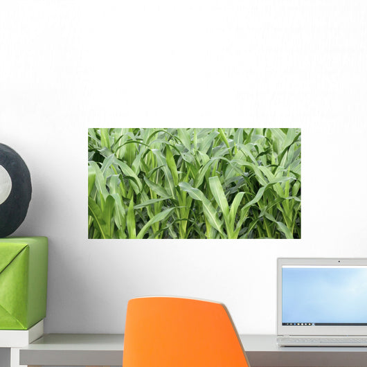Fields Corn Wall Mural