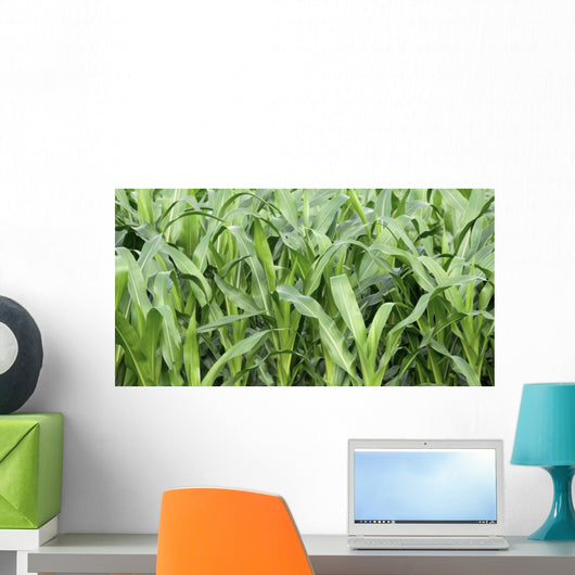 Fields Corn Wall Mural