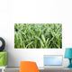 Fields Corn Wall Mural