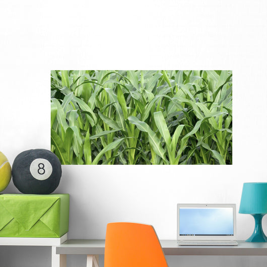 Fields Corn Wall Mural