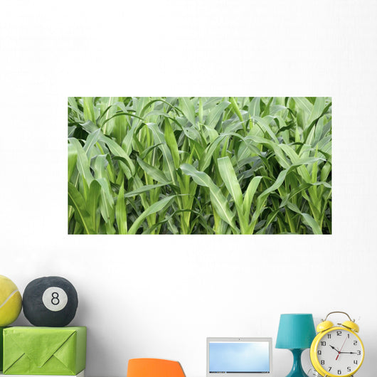 Fields Corn Wall Mural