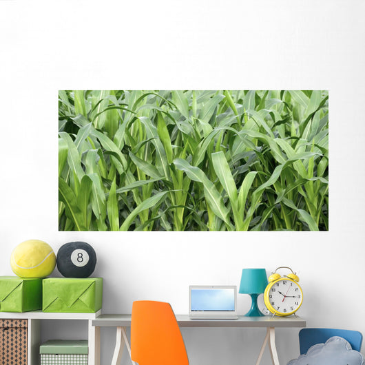Fields Corn Wall Mural