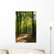 Maple Alley and Path Wall Decal