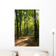 Maple Alley and Path Wall Decal