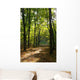Maple Alley and Path Wall Decal