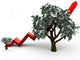 growth of a money tree Wall Decal