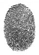 Fingerprint Vector Wall Decal