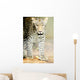 Leopard Wall Mural
