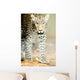 Leopard Wall Mural